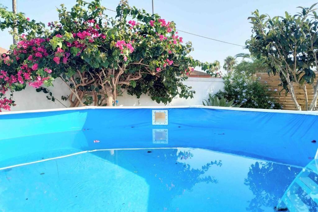 Apartamento Privado Con Jardin, Piscina Elevada Y Bbq ชิกลานา เด ลา ฟรอนเตรา ภายนอก รูปภาพ